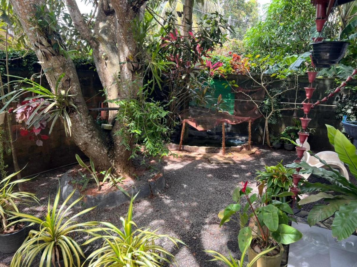 Jungle Reef Rest Hotel Mirissa Eksteriør billede